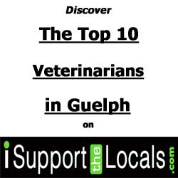 is Stonegate Animal Hospital the best Veterinarian in Guelph