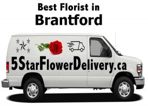 best-florist-in-brantford